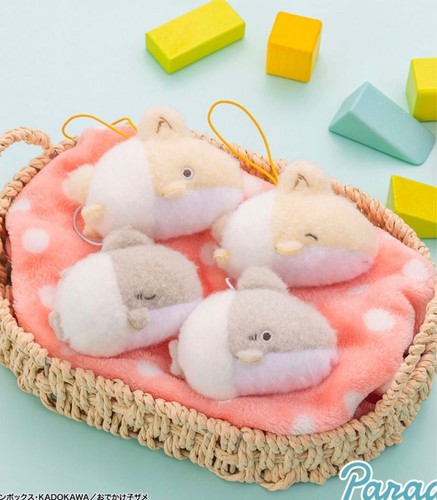 Outing baby shark sheep - shark,